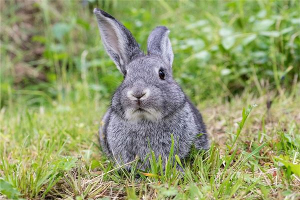 沒有符號簡單的游戲名字