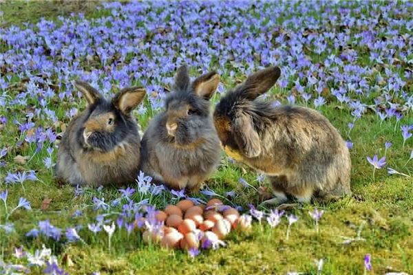 姓名五格分析:吳煙