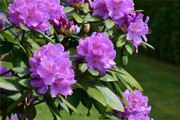 寶寶怎么取名_2021牛寶寶取小名有哪些方法