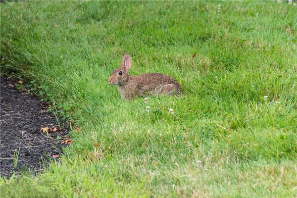 公司起名_名字測算命運