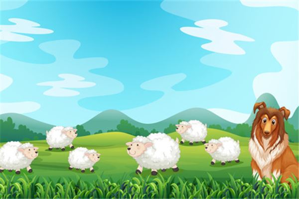 名字是水木好還是木火好