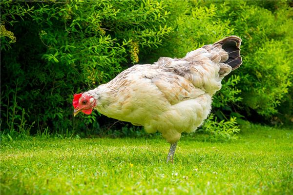 好聽好看的游戲情侶名字