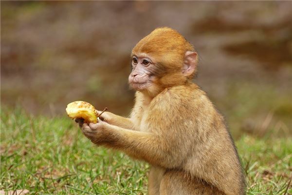 名字打分測試:吳翰