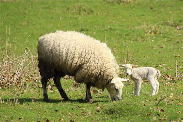 黃長興的姓名打分結果_黃長興五行分析