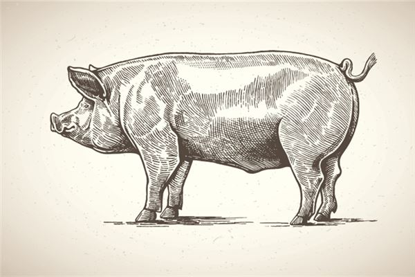 如何取名_愛尚妹