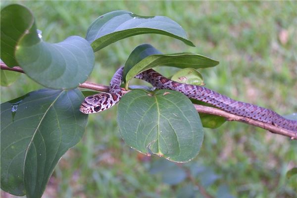 2021新生兒起名_于姓取名字大全