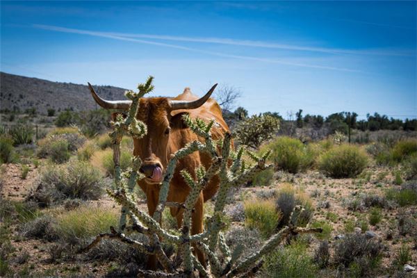 生辰八字取名_梁春祿