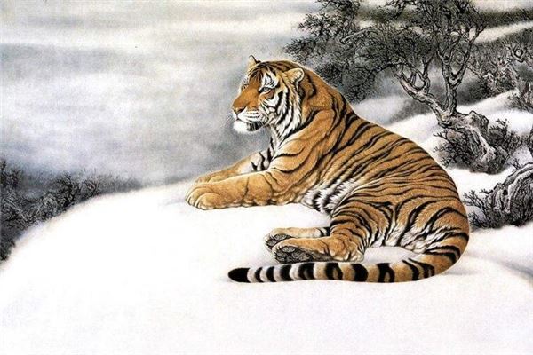 名字最后面個琪字