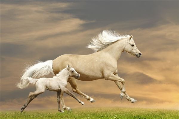 姜曉沖的姓名打分結(jié)果_姜曉沖五行分析