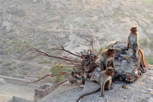 許景杰的姓名打分結果_許景杰五行分析