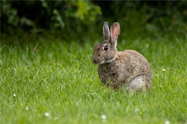 姓吳女孩子名字大全