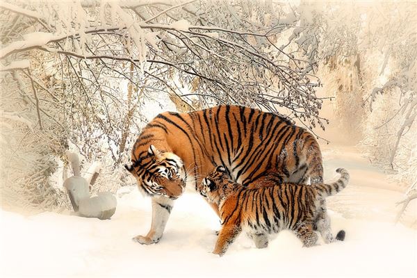 寶寶怎么取名_寶寶取名注意事項