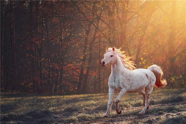 女孩取名_子璇  第1張