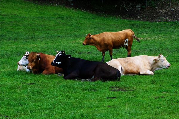 取名字什么字和婷搭一起