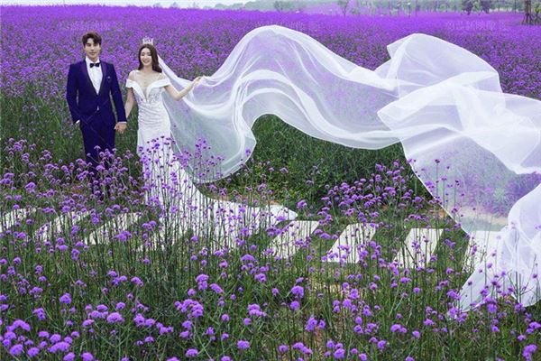 免費取名_鄭英哲