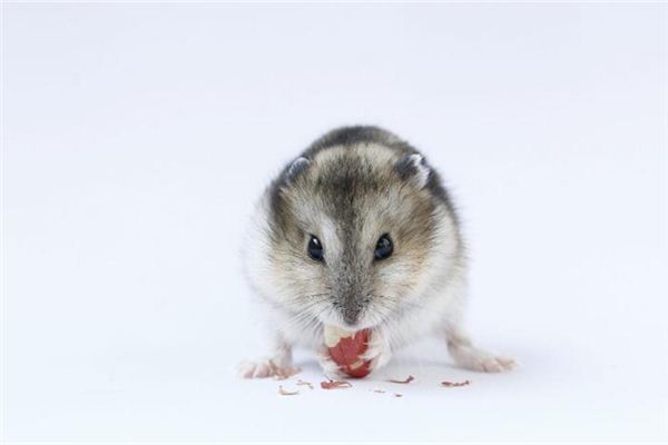 dnf男機(jī)械師名字