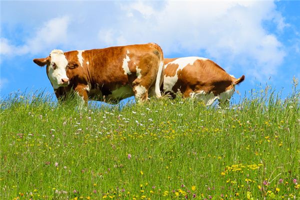 寶寶取名_給孩子起名能請不同的大師起名嗎