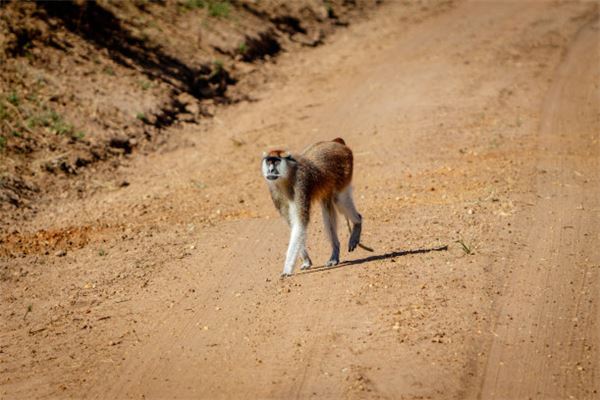 免費(fèi)取名軟件_大氣的女孩名字