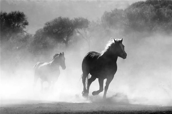 王紫藤的姓名打分結果_王紫藤五行分析