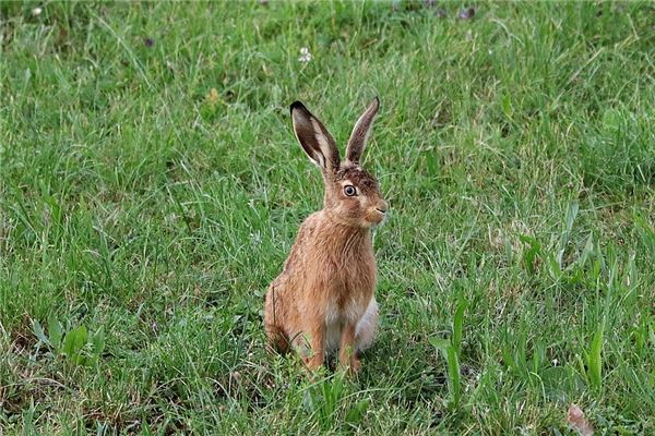 姓名測試_周平心