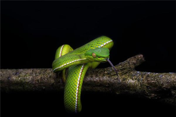 胡見宇的姓名打分結果_胡見宇五行分析