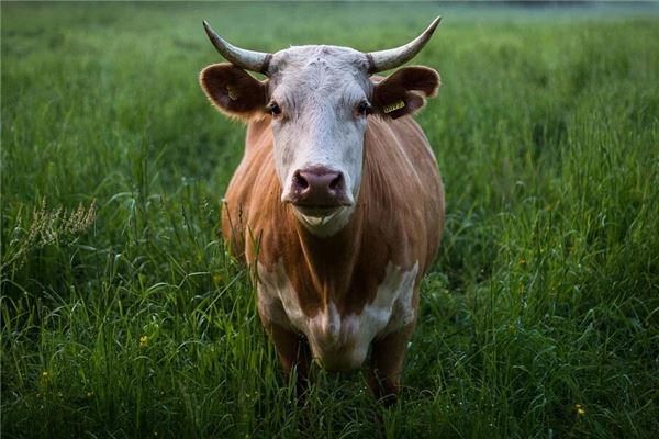 寶寶取名_給女寶寶取名字2021款