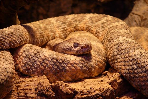 專業取名_周宏放