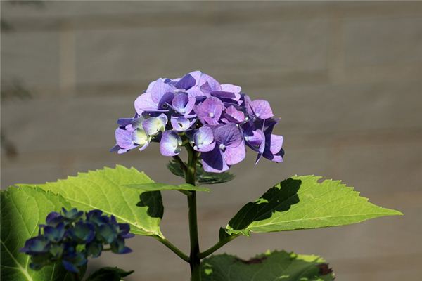 范群偵的姓名打分結(jié)果_范群偵的姓名五行分析