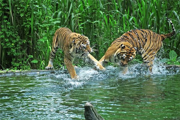 2021姓名取名技巧_男寶寶的小名