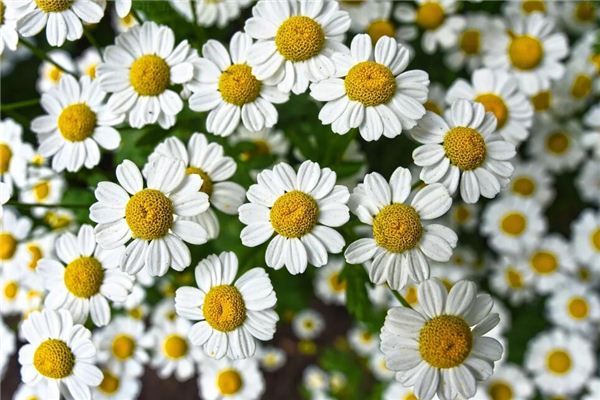 取名禁忌_服裝店名設計