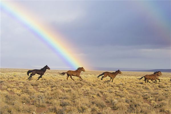 取名禁忌_游戲女角色名