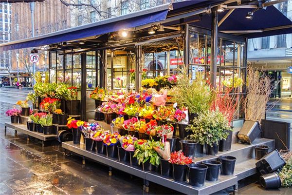 寶寶取名_用中草藥給女寶寶起個好名字 第1張 寶寶取名_用中草藥給女寶寶起個好名字 第1張