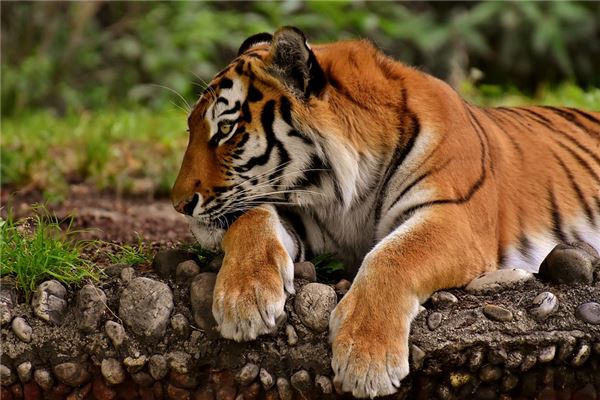 寶寶怎么取名_2128寶寶取名大全