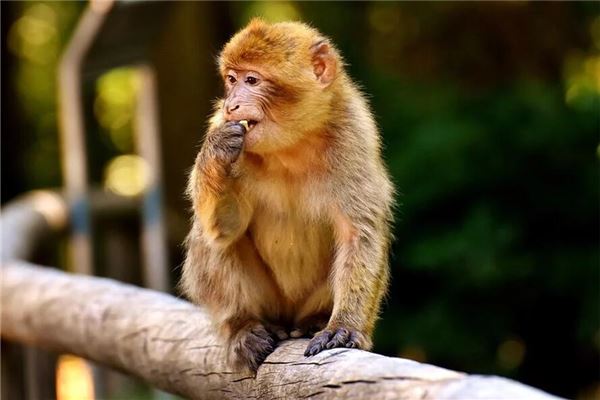 陳姿穎的姓名打分結(jié)果_陳姿穎的姓名五行分析