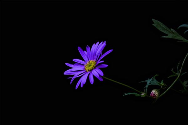 徐明清的姓名打分結果_徐明清五行分析