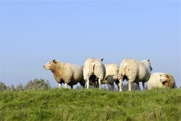姓名測分_周怡月