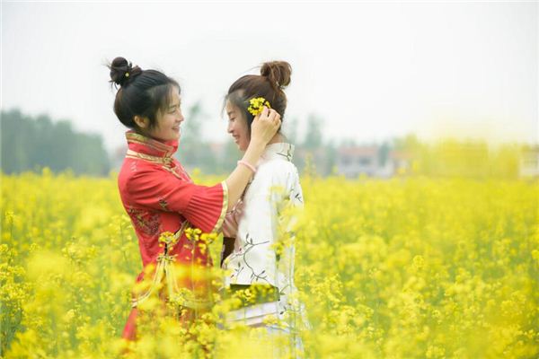 寶寶怎么取名_牛鳳雙胞胎起名