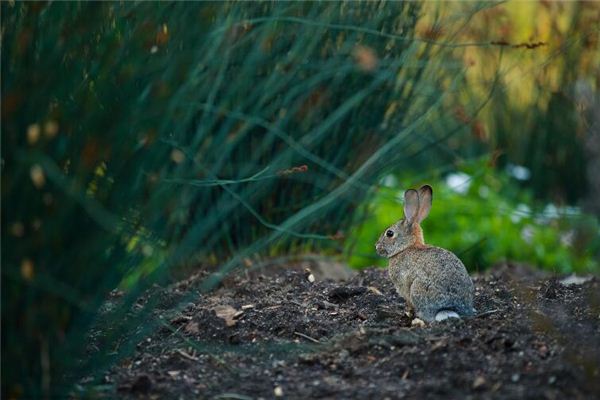網(wǎng)絡(luò)名字_qq名字