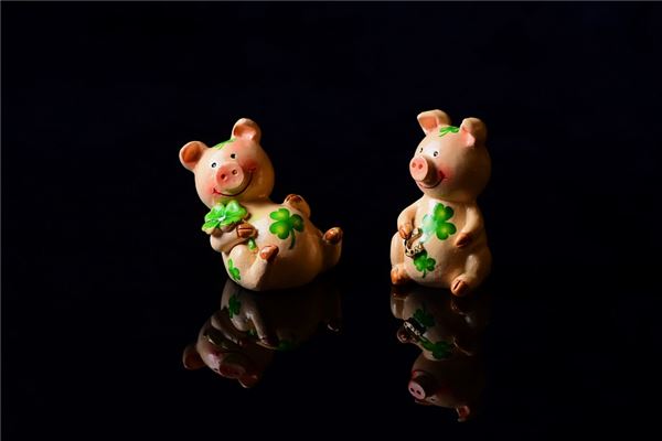 2021姓名取名技巧_豬年男寶寶名字小名  第1張