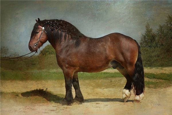 取名方法_好聽的外號(hào)