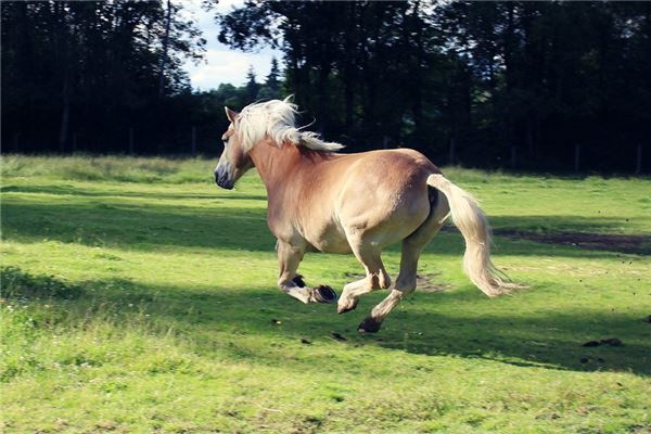 姓米的四個(gè)字名字