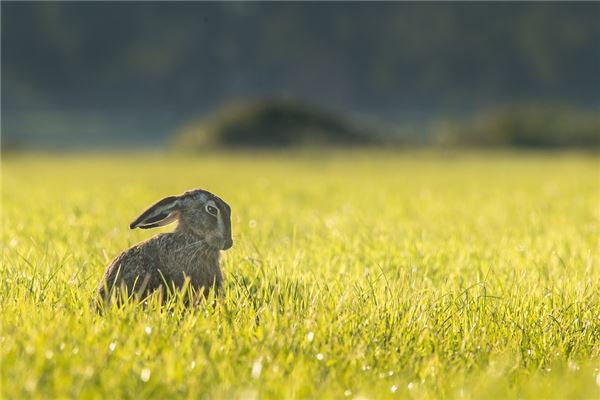 免費起名_兩個字的情侶網(wǎng)名