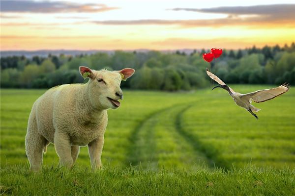 牛寶寶取名_蔣文浩