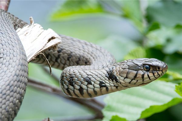 姓名筆畫得分_鄭煥明  第1張