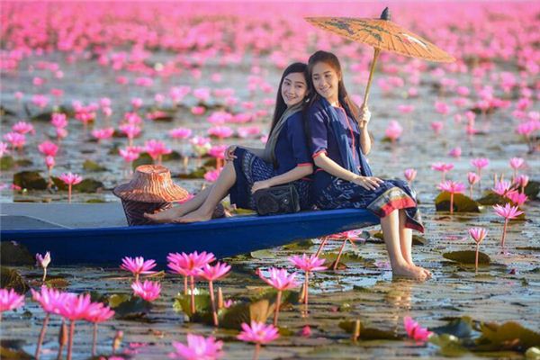 新生兒取名:吳柔婉