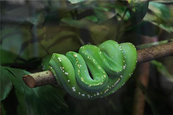 免費取名軟件_網絡游戲昵稱大全