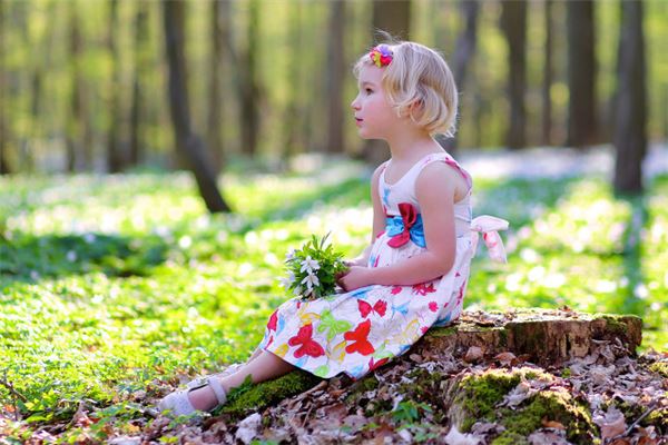 鄭全戰的姓名打分結果_鄭全戰五行分析