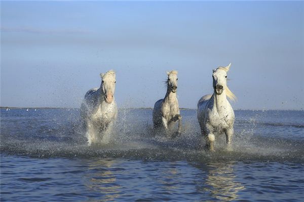 寶寶怎么取名_五行屬金的女孩名字大全