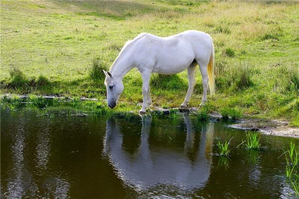 專業(yè)取名_李在石