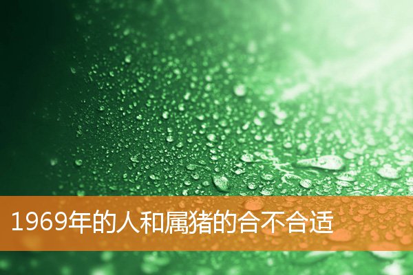 鄭婷婷這個名字多少分